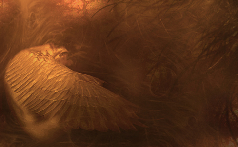Image #3 of 12: 